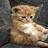 fatemeh_21240