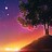 hosam_202313