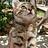 its_sohrab
