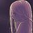 sahel_joy